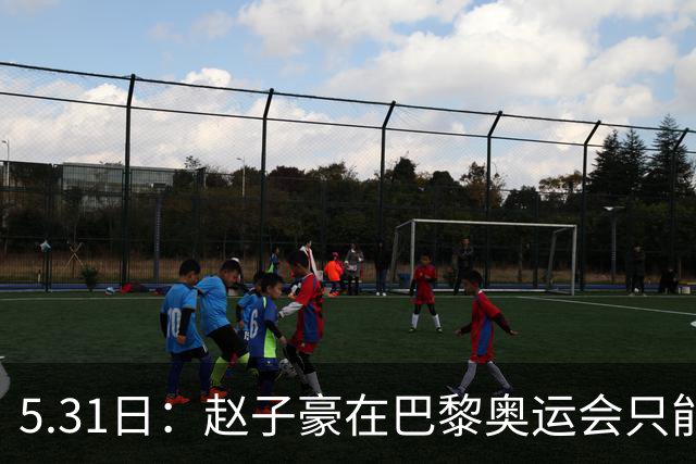 5.31日：赵子豪在巴黎奥运会只能趴在挡板上为樊振东加油